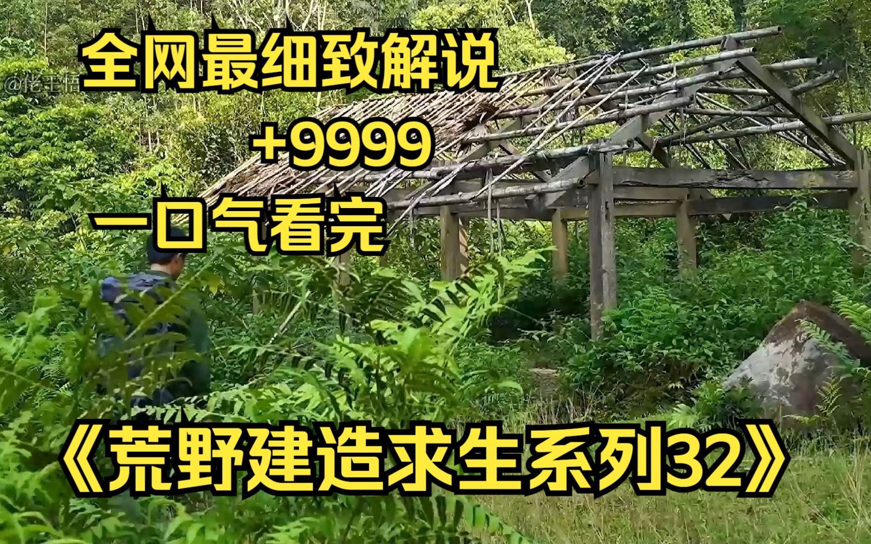 [图]【10小时】一口气看完《荒野建造求生系列32》9999部，看大神如何荒野变豪宅!助眠神视频，很少有人能坚持看完！