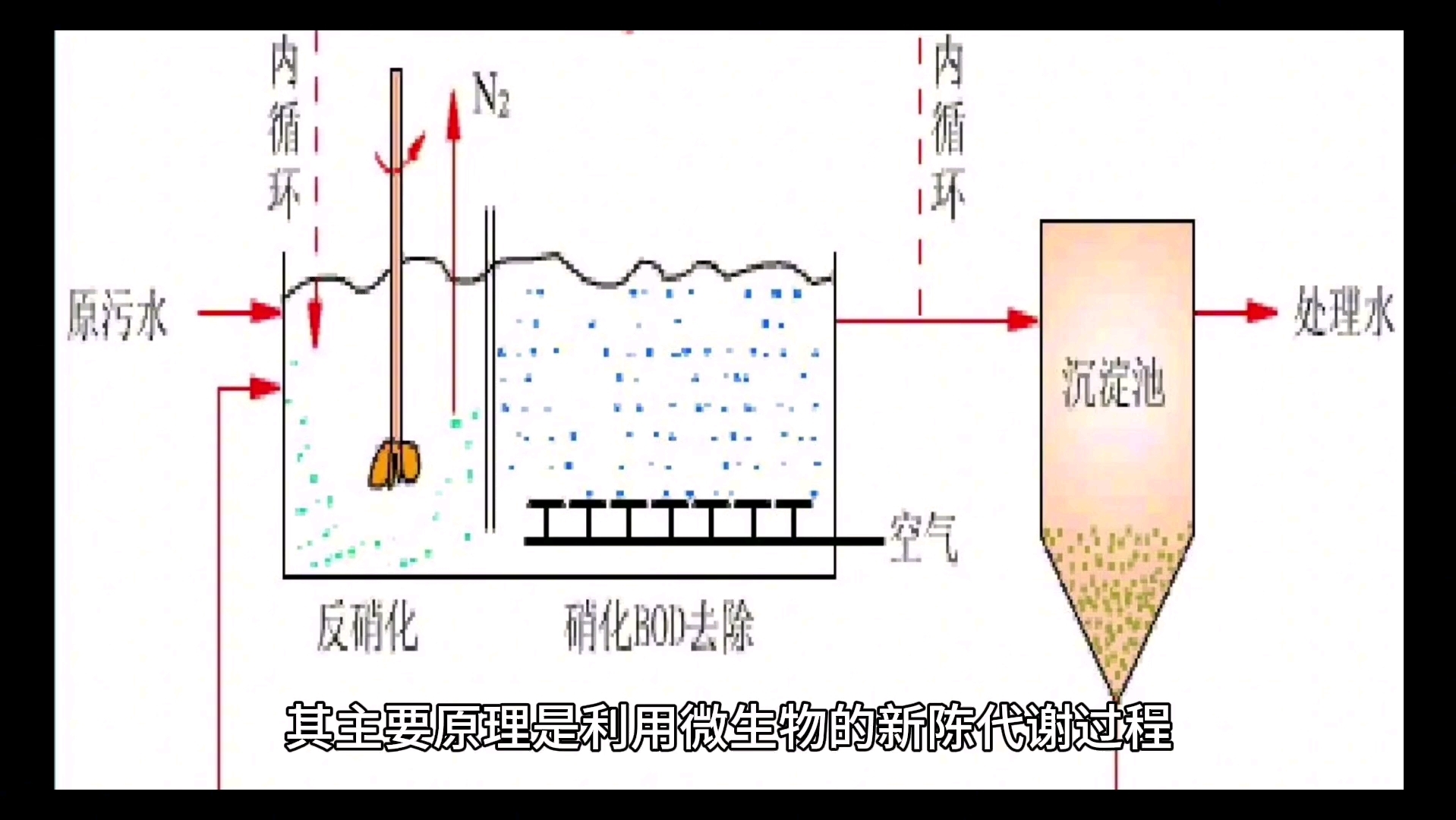 废水生化处理:微生物如何净化水质?哔哩哔哩bilibili