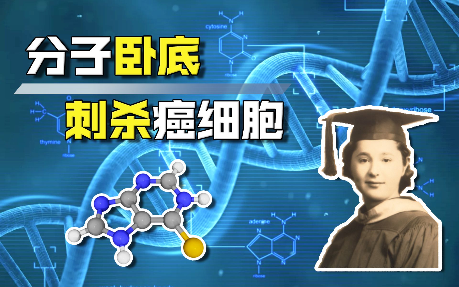 [图]【癌症简史 06】药物理性设计，一位女科学家献给科学的一生