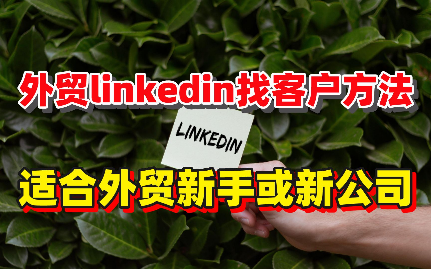 做外贸如何利用好领英(LinkedIn)主动开发客户?哔哩哔哩bilibili