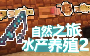 Download Video: 【自然之旅】高级钓鱼玩法！还有海王装备！水产养殖2 Aquaculture2