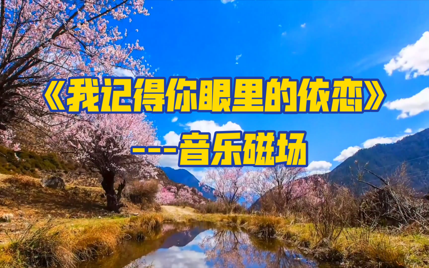 [图]【高音质】音乐磁场-《我记得你眼里的依恋》