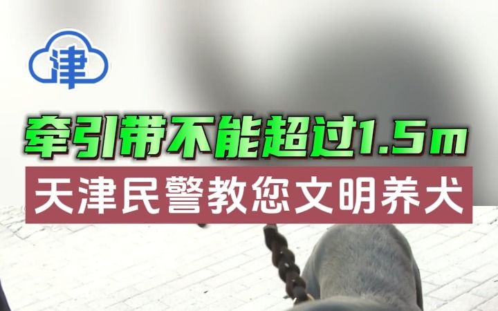 天津民警教您文明养犬,牵引带不能超过1.5m哔哩哔哩bilibili