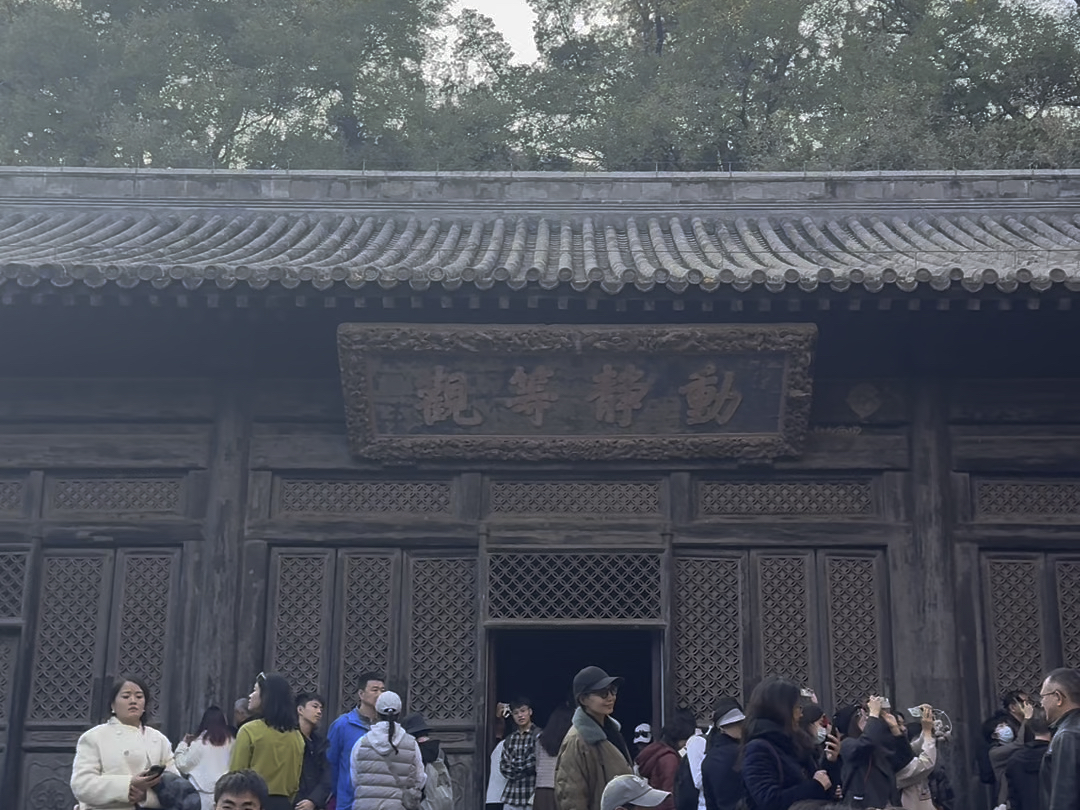 敕建大觉禅寺千年古银杏树哔哩哔哩bilibili