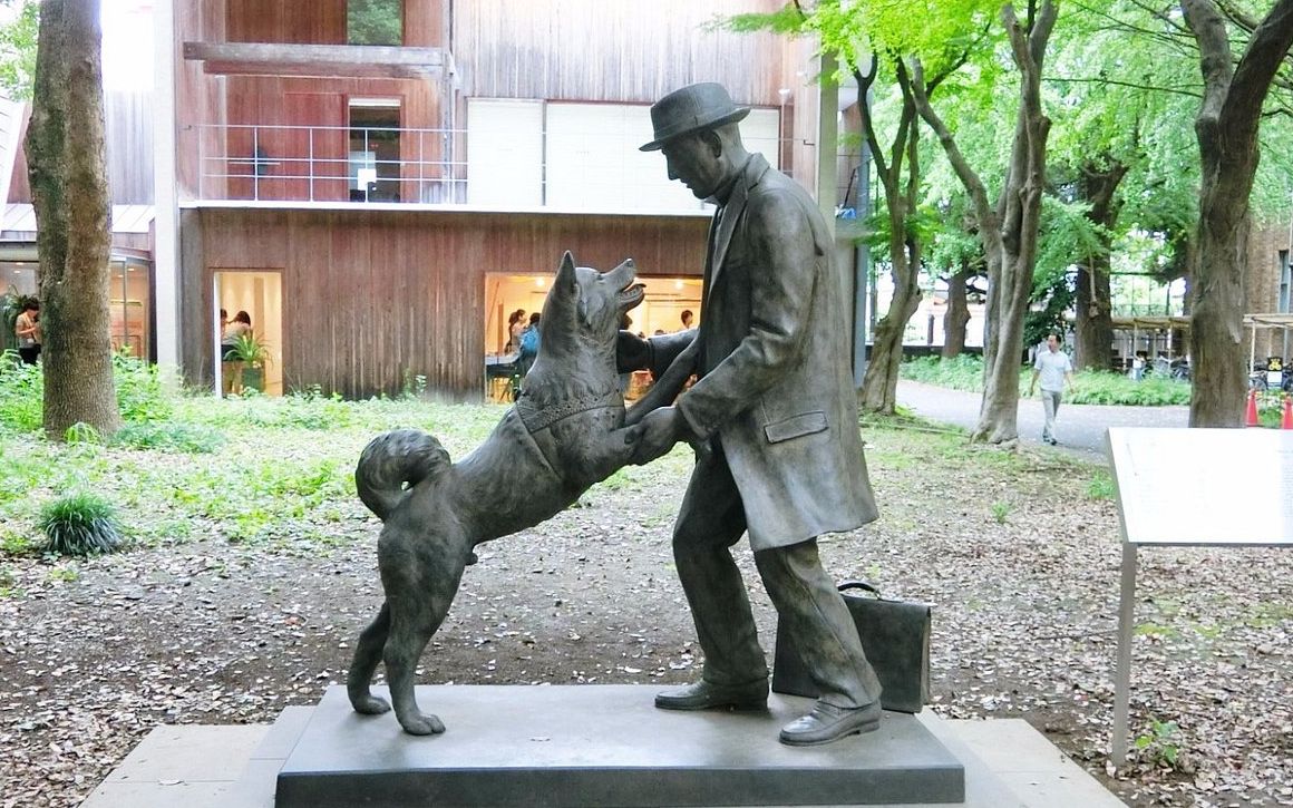 忠犬八公铜像地址图片