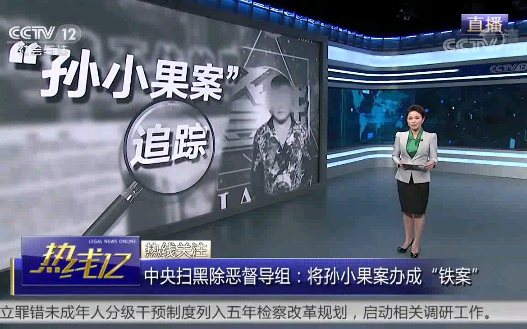 中央扫黑除恶督导组：将孙小果案办成“铁案”