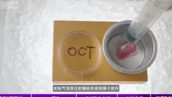 华大时空组学 | 组织包埋指南（适配大尺寸组织样本）