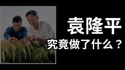 再不科普，袁隆平的贡献就被黑的…只剩一篇论文了