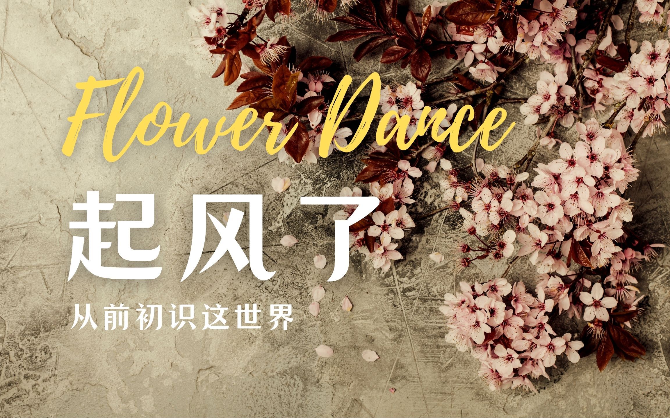 【晚安钢琴】当Flower Dance遇见起风了哔哩哔哩bilibili