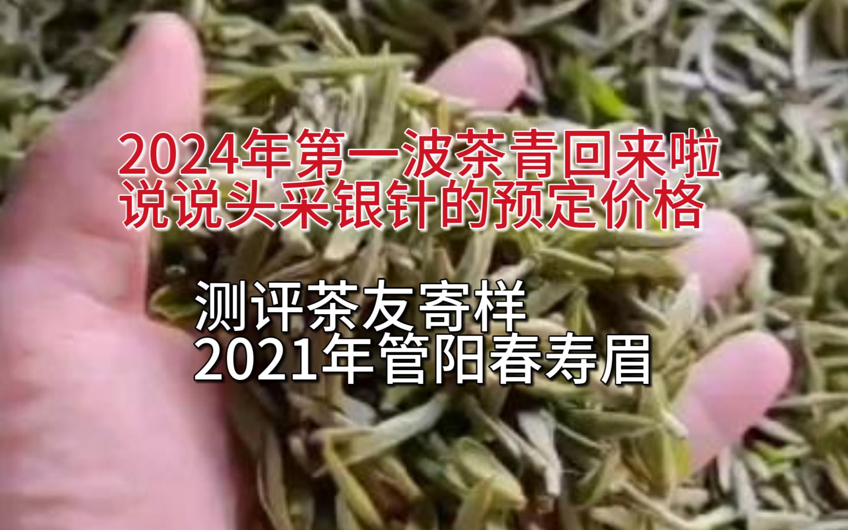 福鼎白茶:测评茶友寄样2021管阳春寿眉哔哩哔哩bilibili