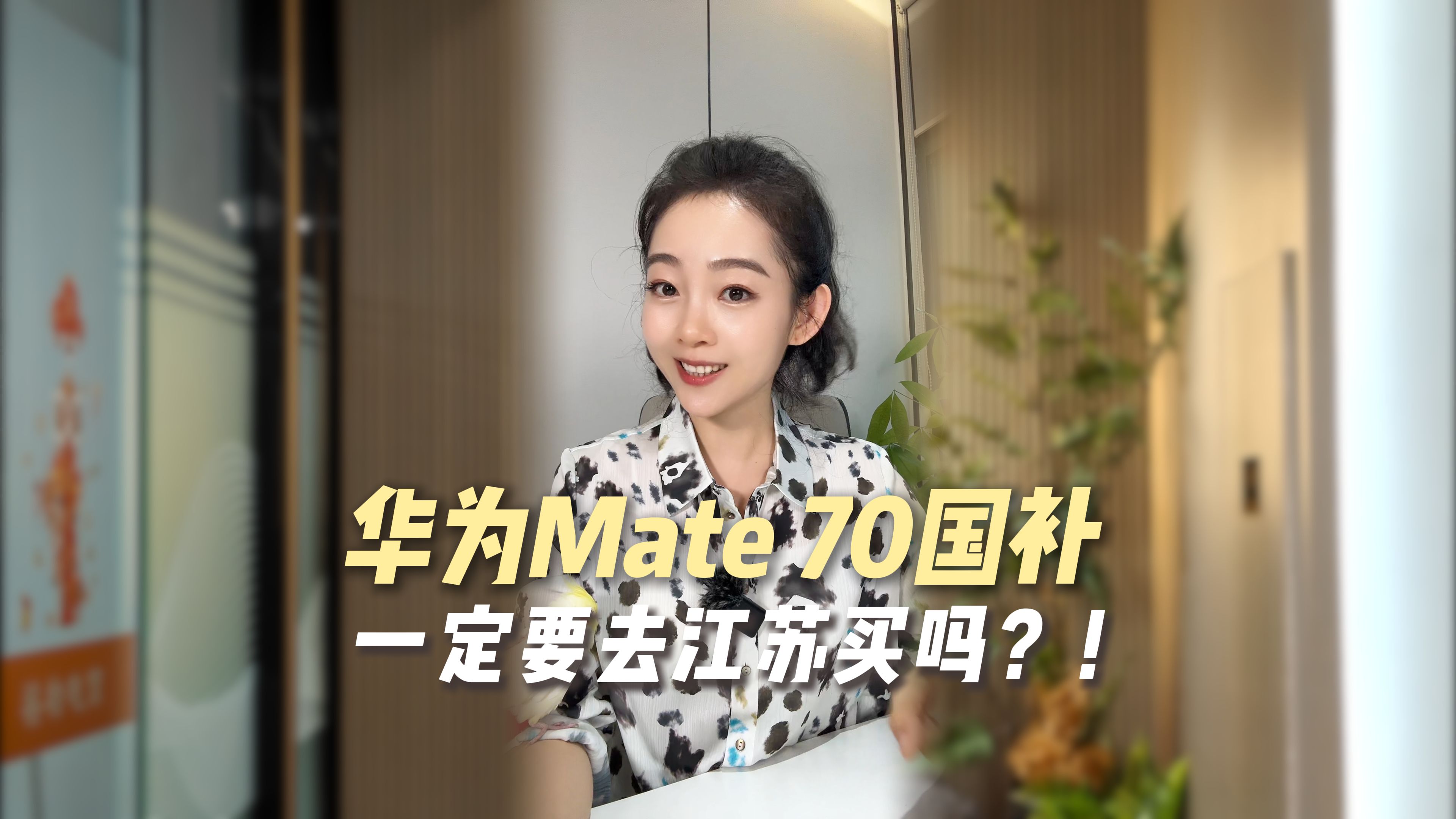 华为Mate 70国补,只能去江苏买吗?哔哩哔哩bilibili