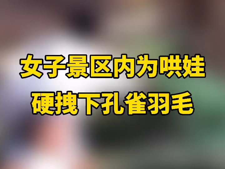 一景区内,一女子为哄娃竟然硬拽下孔雀羽毛,网友:就这样教育孩子吗?...哔哩哔哩bilibili