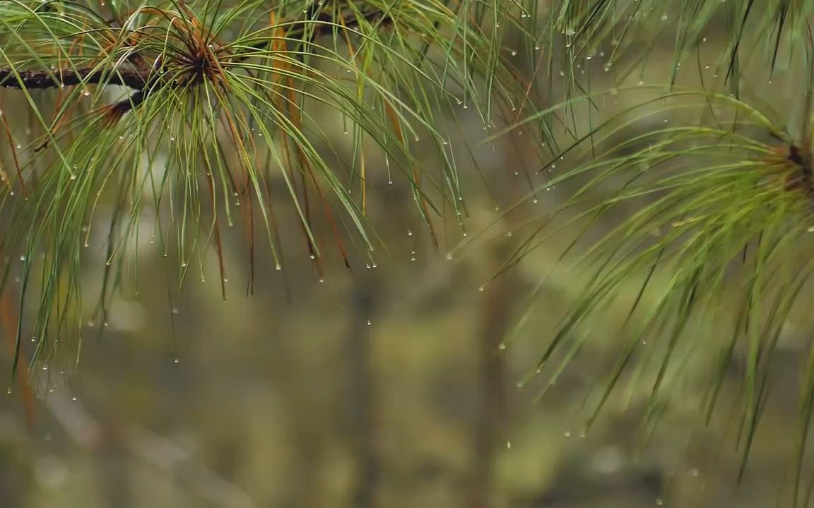 [图]读书：追忆似水流年（6）