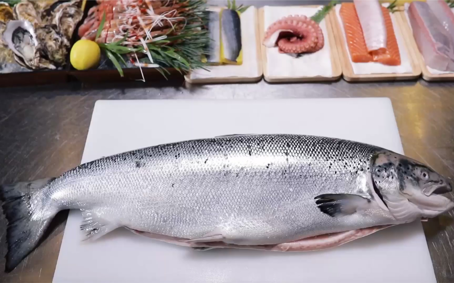 三文鱼之新西兰帝王鮭