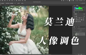 Download Video: 人像调色案例，莫兰迪，森系人像后期调色