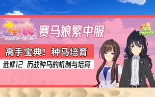 Download Video: 【赛马娘繁中服】选修12 种马培育！历战种马的机制与培育！胜鞍分是什么？历战有什么用？