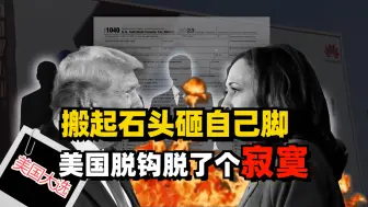 Video herunterladen: 搬起石头砸自己脚，美国脱钩好像脱了个寂寞