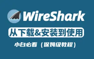 Download Video: 【网络安全】最适合入门小白的WireShark使用教程（超详细保姆级）