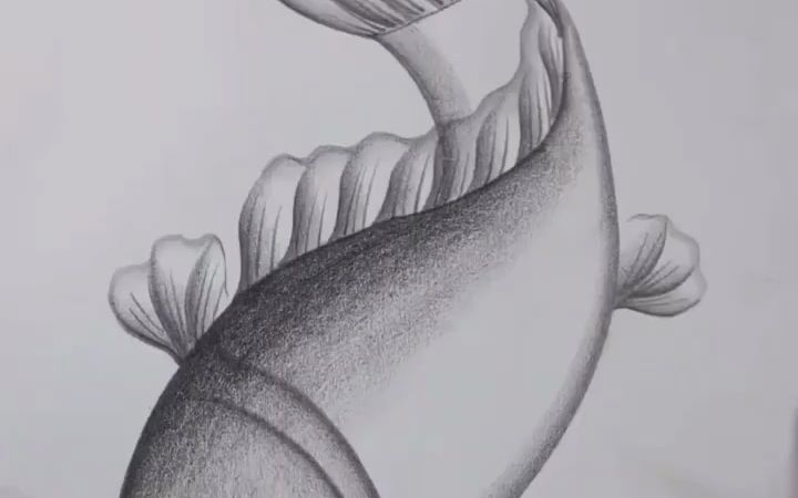 【素描】挑战画一条锦鲤