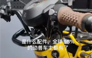 Video herunterladen: 是什么配件，全球95%的幼兽车主都有了