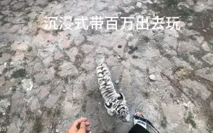 胆小的百万又又又被吓一跳