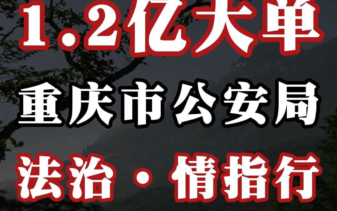 1.2 亿、重庆市公安局《法治ⷮŠ情指行》大单哔哩哔哩bilibili