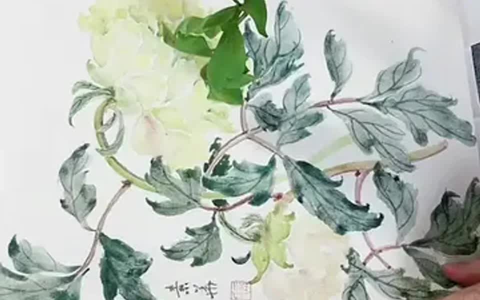 牡丹花苞的结构哔哩哔哩bilibili