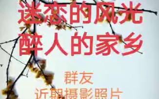 微信好友制作的视频相册.哔哩哔哩bilibili