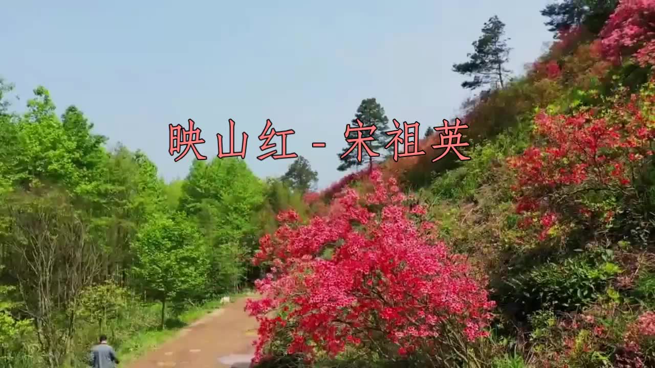 [图]宋祖英把这首《映山红》唱到了极致，荡气回肠，好听至极