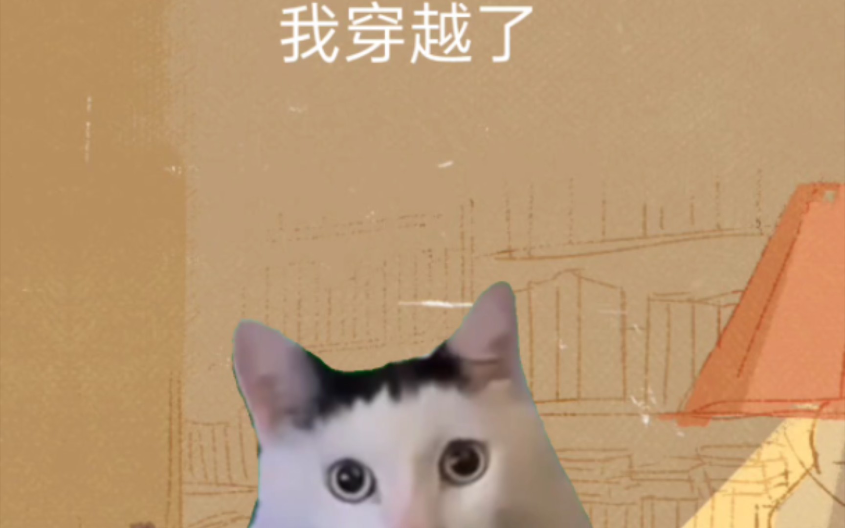 [猫meme]我在废土世界扫垃圾哔哩哔哩bilibili