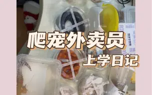 Download Video: 记录一下我的打包爬宠日常//与白边滑鼠的对峙…上学咯！