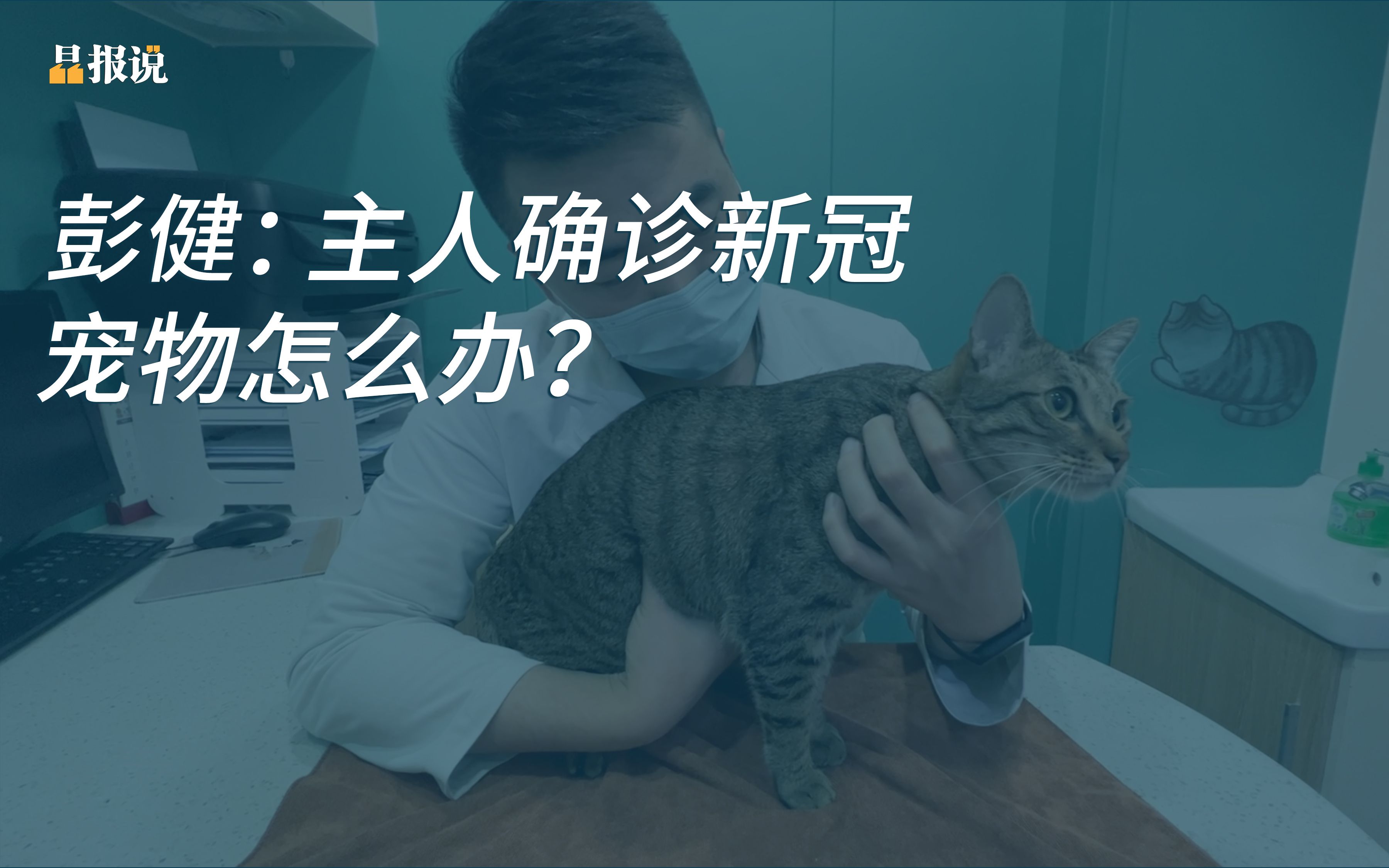 [图]晶报说丨彭健：主人确诊新冠，宠物怎么办？