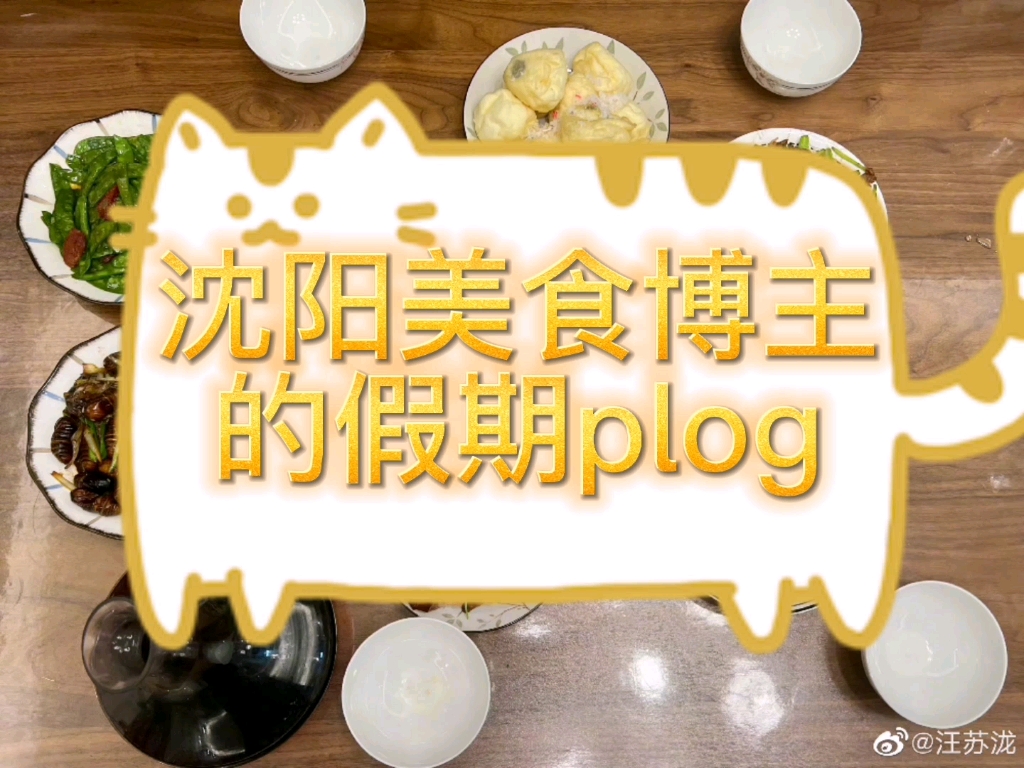 【汪苏泷】沈阳美食博主的假期plog,那个神奇的蘸水到底是啥,有没有姐妹科普一下哔哩哔哩bilibili