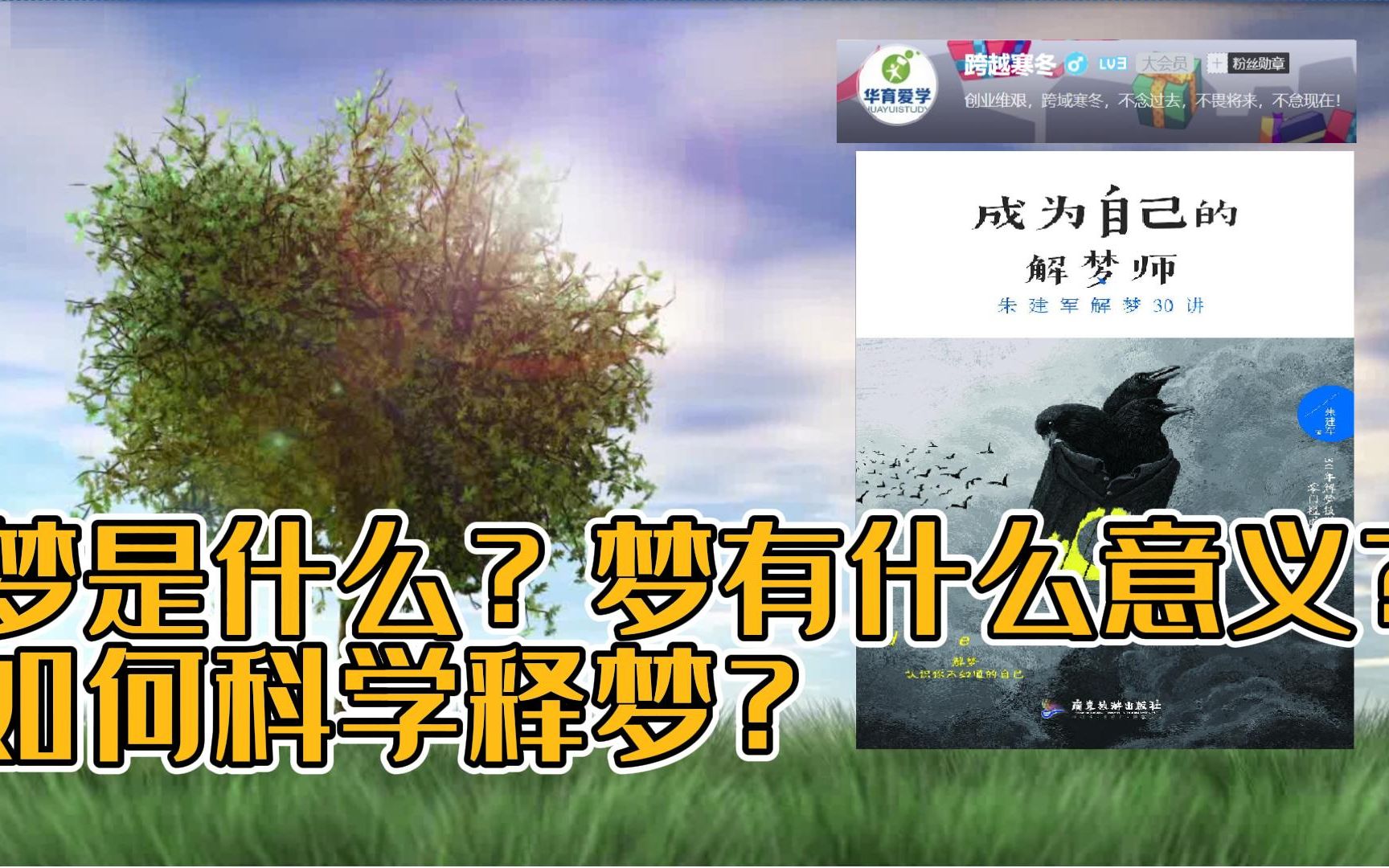 《成为自己的解梦师》梦是什么?梦有什么意义?如何科学释梦?哔哩哔哩bilibili