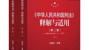 中华人民共和国刑法》释解与适用第二版PDF_哔哩哔哩_bilibili