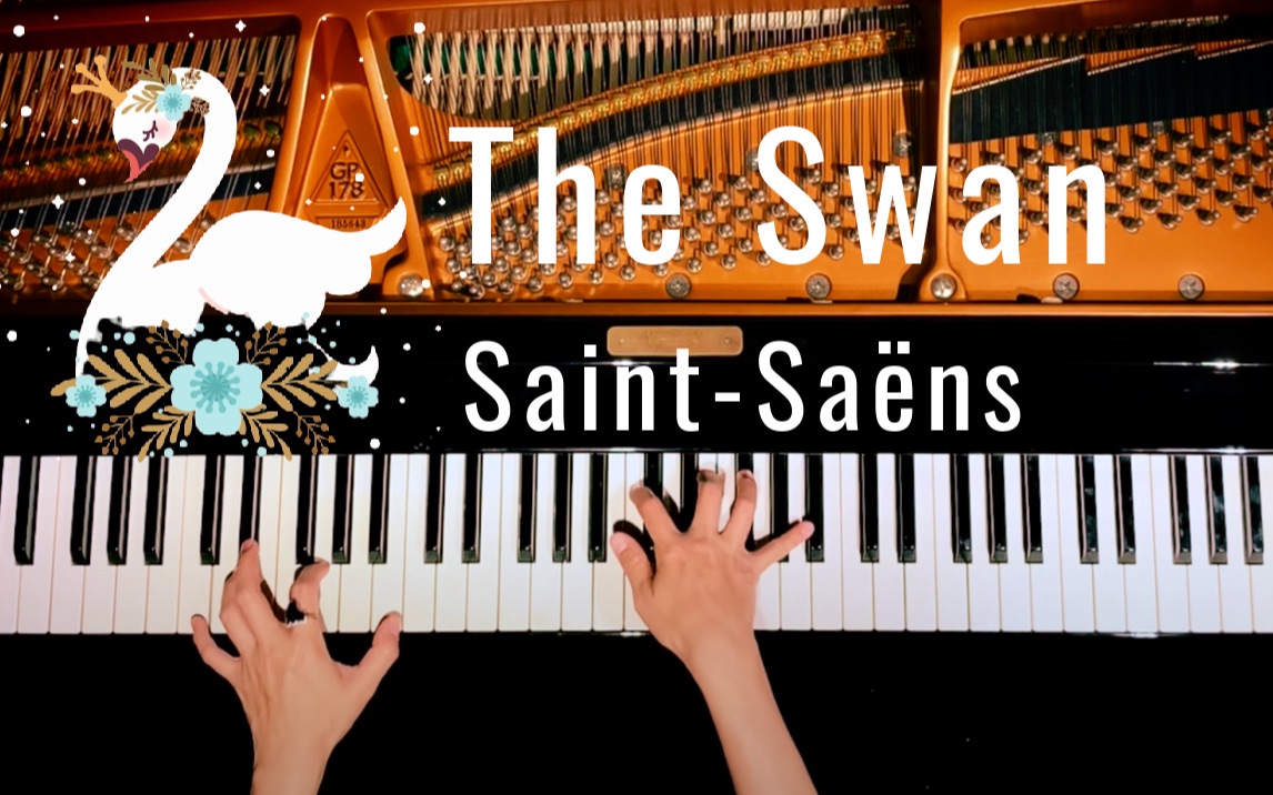 白鸟《the swan 天鹅》【钢琴演奏】