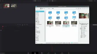 linux davinci resolve 无法导入 mp4 的解决办法 | linux 达芬奇 无法导入 mp4 的解决办法