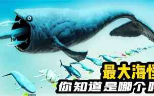 Descargar video: 海洋中的最大怪物是谁