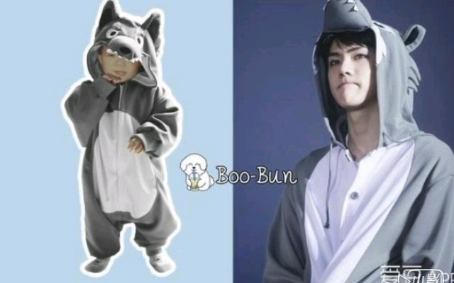 exo可爱的动物睡衣装扮