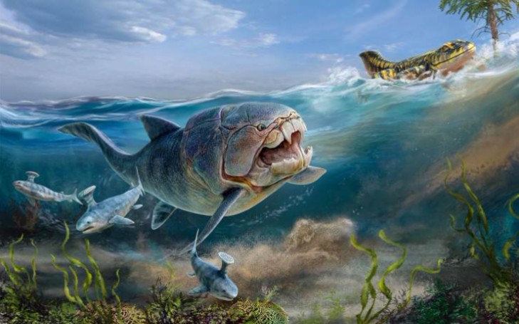 生命史志留纪泥盆纪王权的更迭青春年少板足鲎不会梦到邓氏鱼大姐