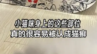 小猫咪身上的这些部位真的很容易被认成猫癣