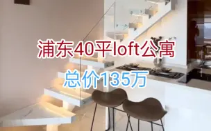 Download Video: 浦东40平loft公寓，总价135w。