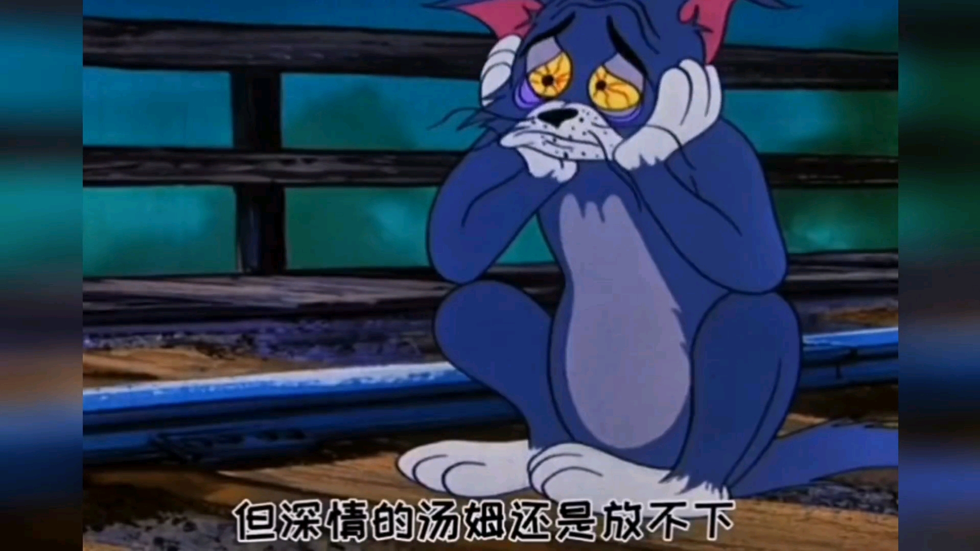 我好伤心,一心一意的对待他,确成为一只不被爱的伤心猫,真的是太痛苦