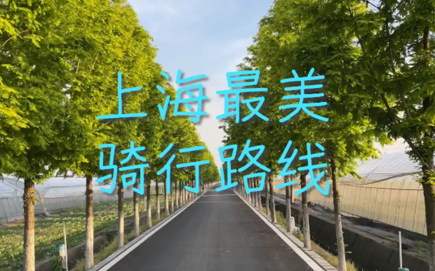 【骑行上海】上海最美骑行路线推荐哔哩哔哩bilibili