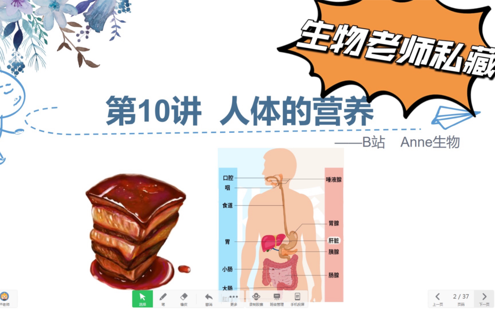 【纯课件欣赏】中考生物:人体的营养 | 生物老师必备纯干货哔哩哔哩bilibili