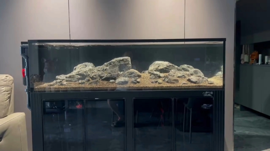 1.5米的溪流缸造景真的是太舒服太合适了