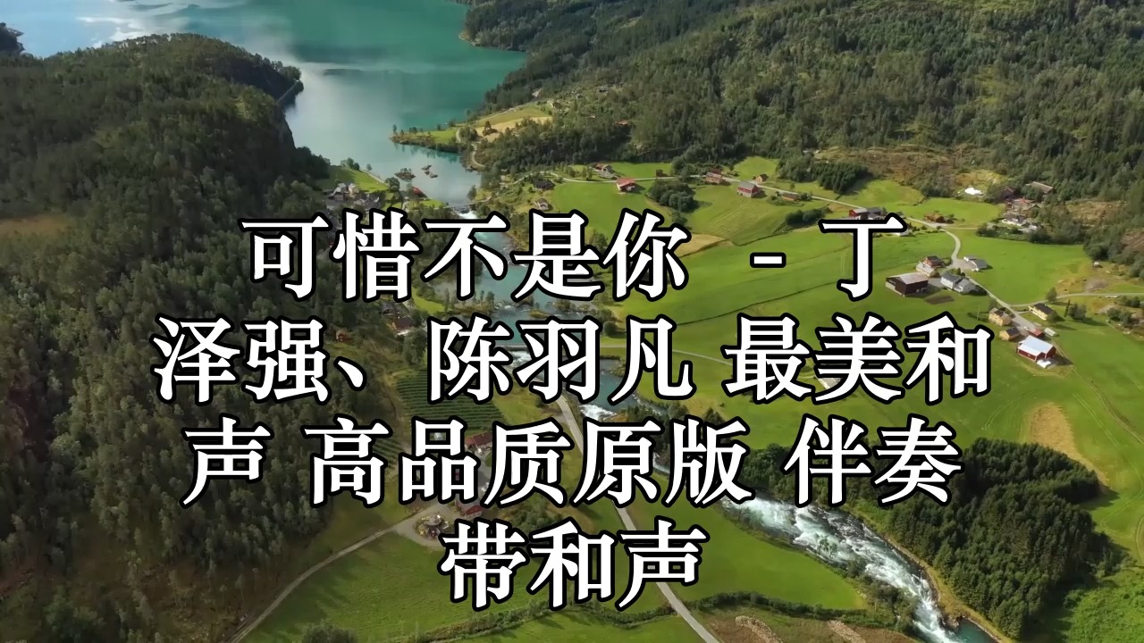 可惜不是你 (live) - 丁泽强,陈羽凡 最美和声 高品质原版 伴奏 带