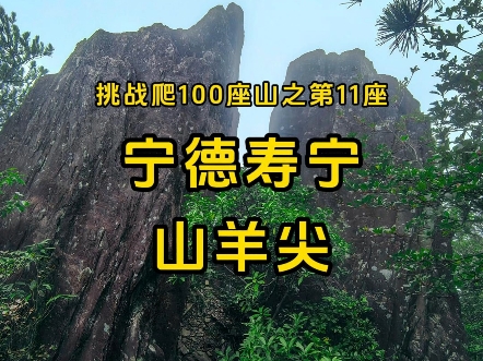 挑战爬100座山之第11座:宁德寿宁山羊尖哔哩哔哩bilibili