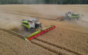 Download Video: ［农机鉴赏］两台克拉斯（CLAAS）LEXION8900TT联合收获机同时进行小麦收获作业