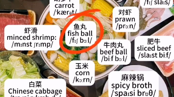 每日无痛记单词:火锅涮菜